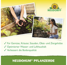 Neudorff Logo. Frauen pflanzen Gemüse, Kräuter, Stauden, Obst und Ziergehölze mit Neudohum Pflanzerde.