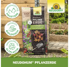 Neudorff NeudoHum Pflanzerde 40 Liter Sack