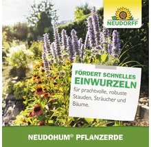 Neudorff Logo. Neudohum Pflanzerde fördert schnelles Einwurzeln für Stauden, Sträucher und Bäume.
