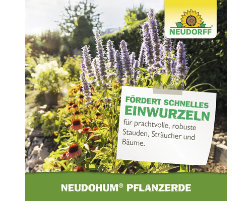 Neudorff Logo. Neudohum Pflanzerde fördert schnelles Einwurzeln für Stauden, Sträucher und Bäume.