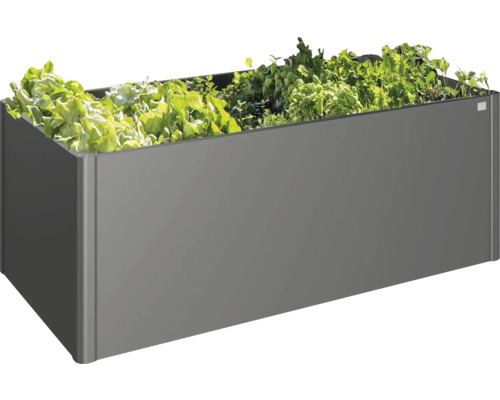 Grauer Pflanzkasten mit verschiedenen Pflanzen
