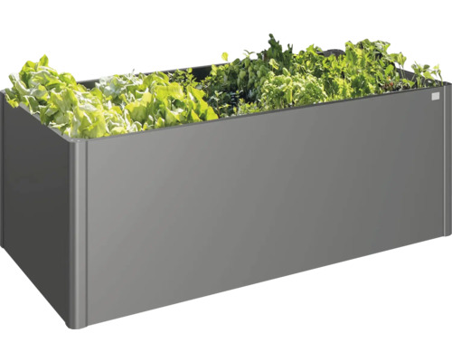 Hochbeet aus Metall mit Salat und Kräutern