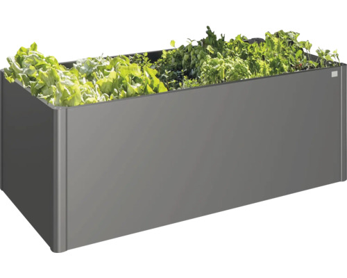 Grauer Pflanzkasten mit Salatpflanzen.
