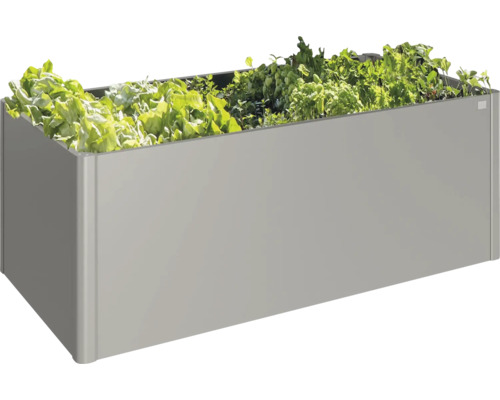Rechteckiger, grauer Pflanzkasten mit Salat und Kräutern