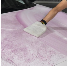 Reinigung eines Autos mit einem Waschhandschuh