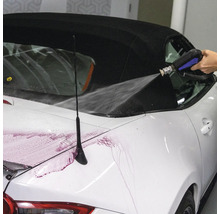 Autowäsche mit Hochdruckreiniger an einem Cabriolet