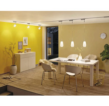 Esszimmer mit Esstisch, Stühlen, Schrank, Zimmerpflanze, Teppich, Wanduhr, Deckenleuchte und Schienensystem