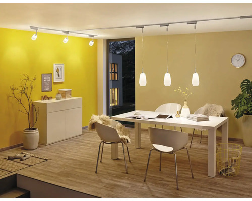 Esszimmer mit Esstisch, Stühlen, Schrank, Zimmerpflanze, Teppich, Wanduhr, Deckenleuchte und Schienensystem