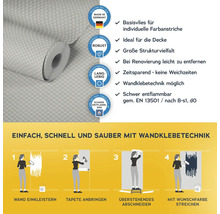 Tapetenrolle mit Hinweisen zu Eigenschaften und Verarbeitung mit Wandklebetechnik