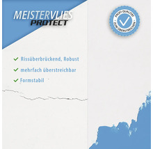 Meistervlies Protect für Rissüberbrückung, Robustheit, mehrfaches Überstreichen und Formstabilität.