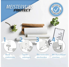 Meistervlies Protect Anleitung zum Überstreichen von Vliestapeten mit Profi Qualität
