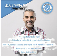 Meistervlies Protect Tapete mit Profi Qualität