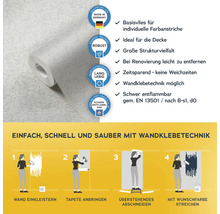 Vliestapete mit Struktur und Anwendungsanleitung