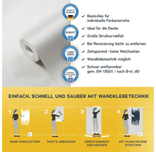 Rolle Vliestapete mit Anwendungsanleitung und Qualitätsmerkmalen