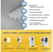 Vliestapete mit Anwendungsanleitung und Produkteigenschaften