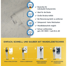 Vliestapete mit Produkteigenschaften und Anbringungsanleitung