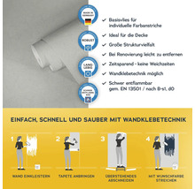 Vliestapete mit Anwendungsanleitung für Wandklebetechnik