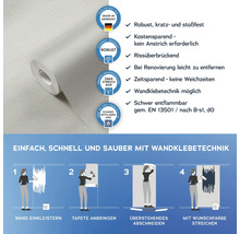Rolle Raufasertapete mit Produkteigenschaften und Anbringungsanleitung