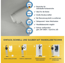 Vliestapete mit Anwendungsbeispielen und Produkteigenschaften