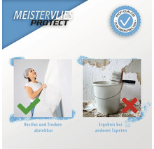 Meistervlies Protect Produktmerkmale: restlos trocken abziehbar, Profi Qualität zum Überstreichen, Ergebnis bei anderen Tapeten