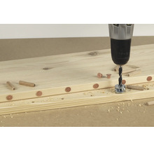 Bohrmaschine bohrt Dübellöcher in Holz
