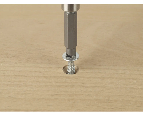 Schraube mit Unterlegscheibe, die mit einem Schraubendreher in Holz geschraubt wird