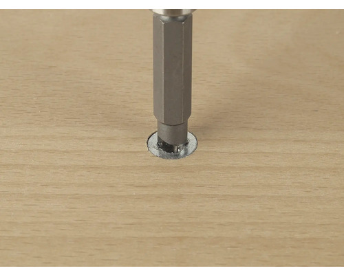 Schraube wird mit Schraubendreher in Holz geschraubt