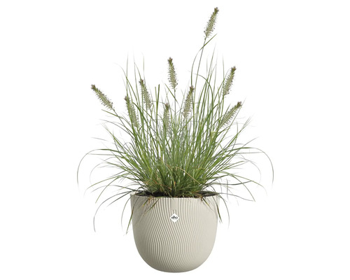 Gras in Topf mit Rillenmuster und Elho Logo