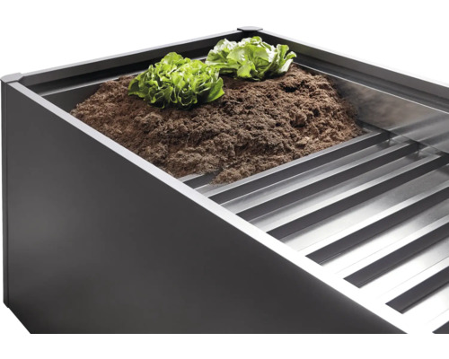 Hochbeet mit Erde und Salatpflanzen