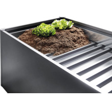 Hochbeet mit Erde und Salatpflanzen