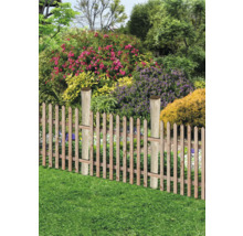 Gartenszene mit Holzzaun und blühenden Pflanzen