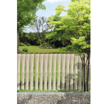 Gartenszene mit Holzzaun und Kiesweg