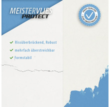 Meistervlies Protect: Rissüberbrückend, robust, mehrfach überstreichbar, formstabil. Profi Qualität zum Überstreichen.