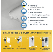 Rolle Vliestapete mit Produkteigenschaften und Anwendungsanleitung