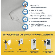 Vliestapete mit Anwendungsanleitung und Produkteigenschaften