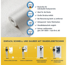Rolle Vliestapete mit Produkteigenschaften und Anbringungsanleitung