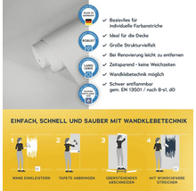 Vliestapete mit Produkteigenschaften und Anbringungsanleitung