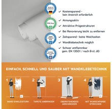 Rolle überstreichbare Tapete mit Anwendungsanleitung und Produkteigenschaften