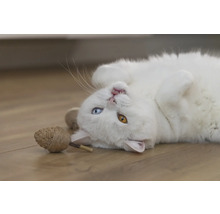 Weiße Katze liegt auf dem Rücken mit Katzenspielzeug