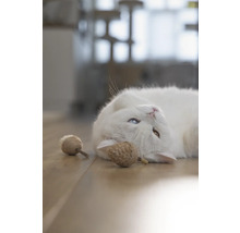 Eine weiße Katze mit ungleichen Augen und Katzenspielzeug auf einem Holzboden