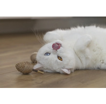 Eine weiße Katze liegt auf dem Rücken und streckt die Zunge heraus, neben ihr ein Spielzeug.