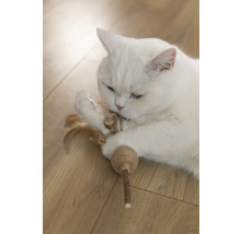 Weiße Katze spielt mit Katzenspielzeug auf Holzboden