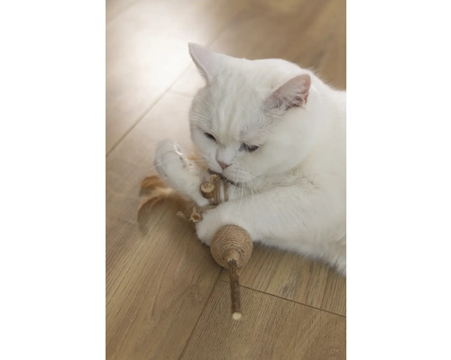 Weiße Katze spielt mit Katzenspielzeug auf Holzboden