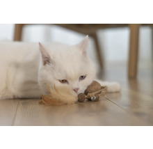 Weiße Katze liegt mit Spielzeug auf dem Boden.