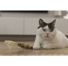 Eine Katze liegt mit einem Katzenspielzeug auf dem Boden.