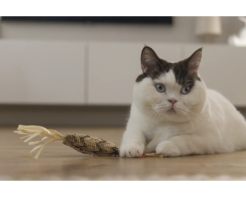 Eine Katze liegt mit einem Katzenspielzeug auf dem Boden.