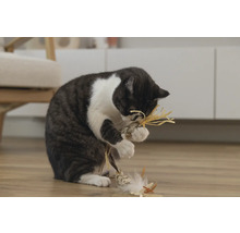 Katze spielt mit Katzenspielzeug