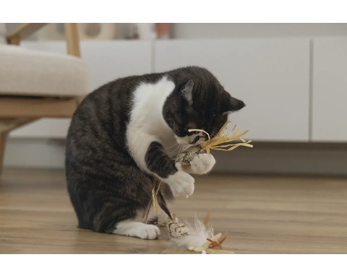 Katze spielt mit Katzenspielzeug
