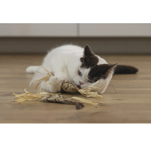 Eine Katze spielt mit einem Katzenspielzeug auf dem Boden.