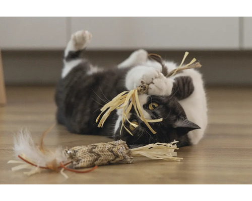Katze spielt mit Spielzeug auf dem Boden
